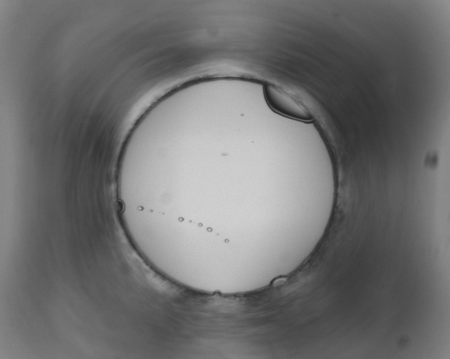 X0000112501191200909071238