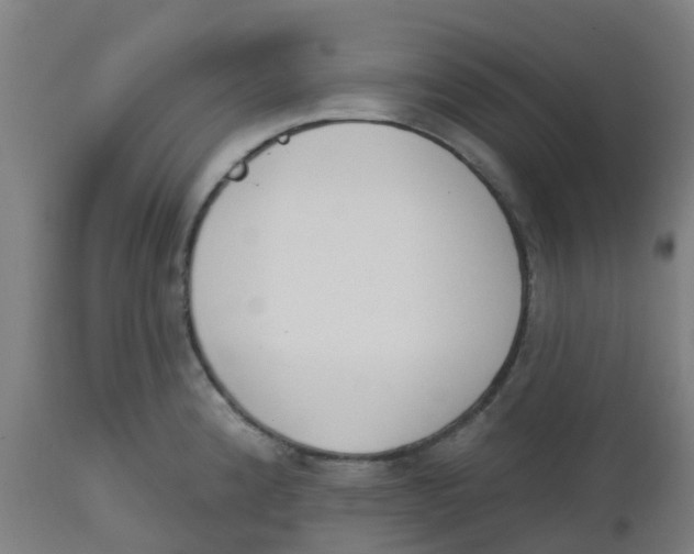 X0000112501192200909071238