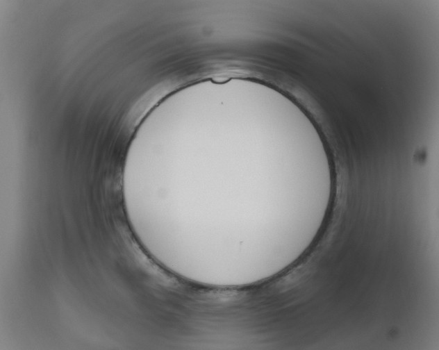 X0000112501193200909071238