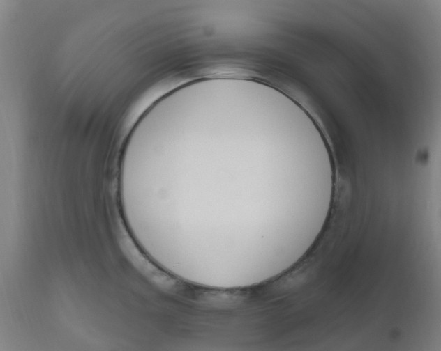 X0000112501195200909071238