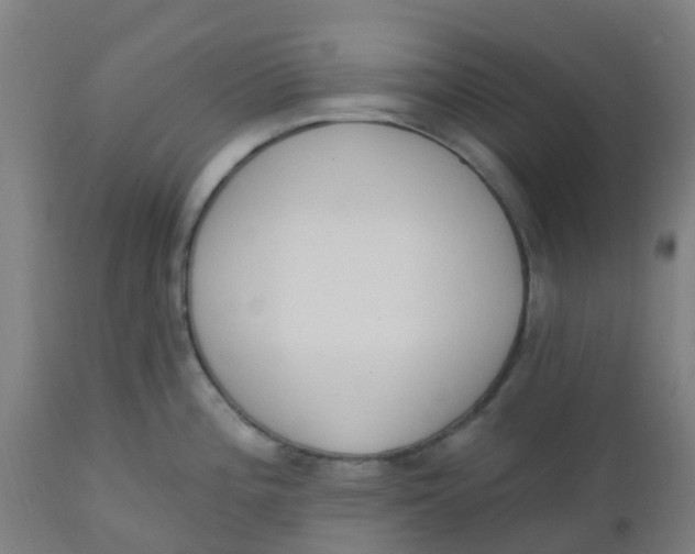 X0000112501196200909071238