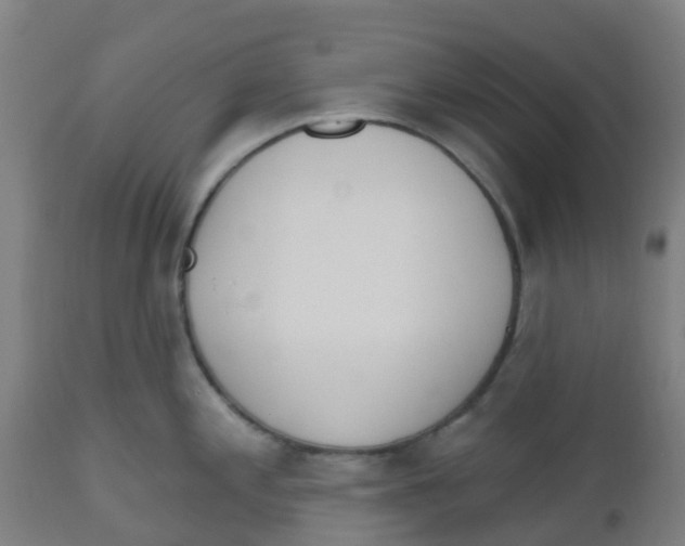 X0000112501197200909071238