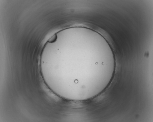 X0000112501198200909071238