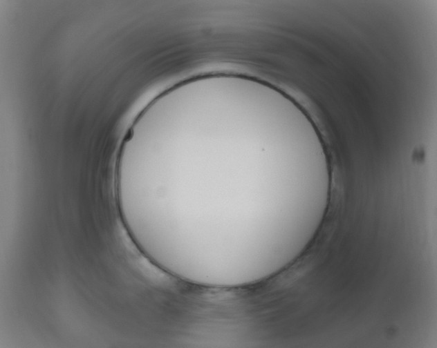 X0000112501199200909071237