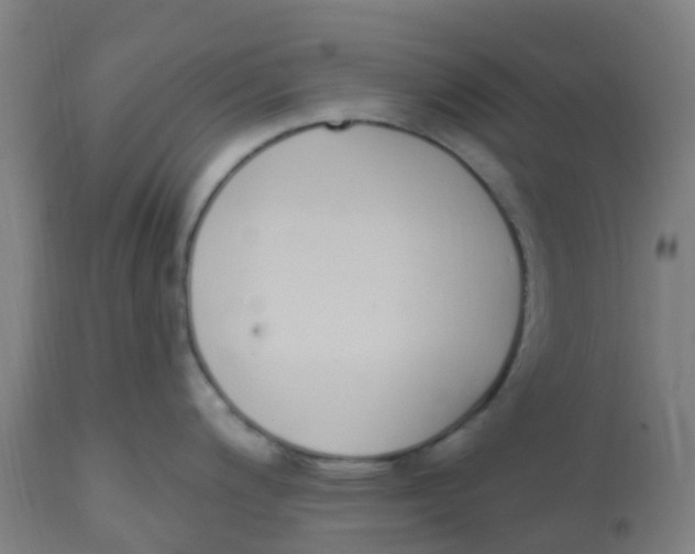 X0000112501200200909071237