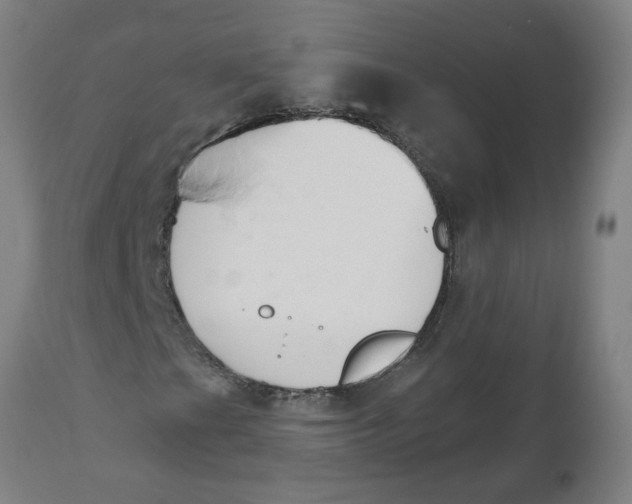 X0000112501201200909071237