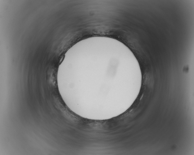 X0000112501202200909071237