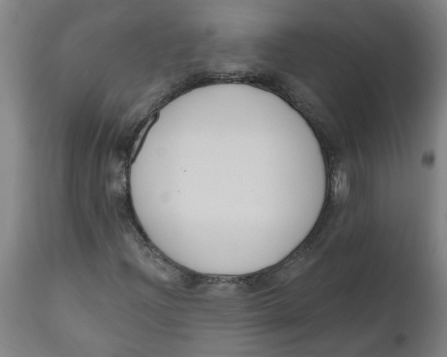 X0000112501204200909071237