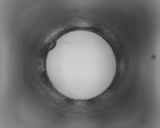 X0000112501205200909071237