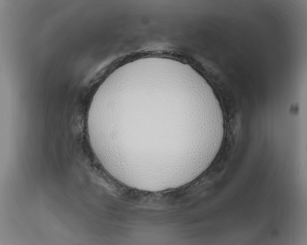 X0000112501206200909071237