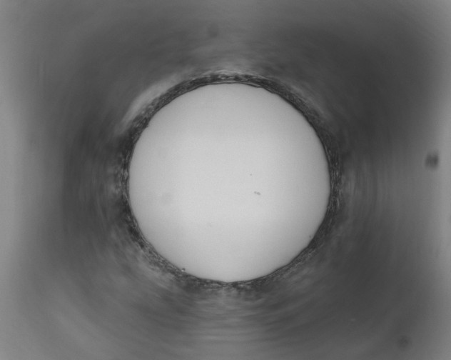 X0000112501207200909071237