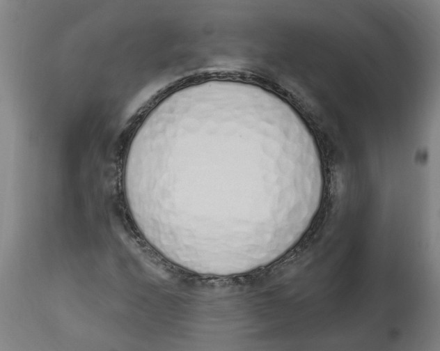 X0000112501208200909071237