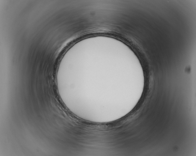 X0000112501210200909071237