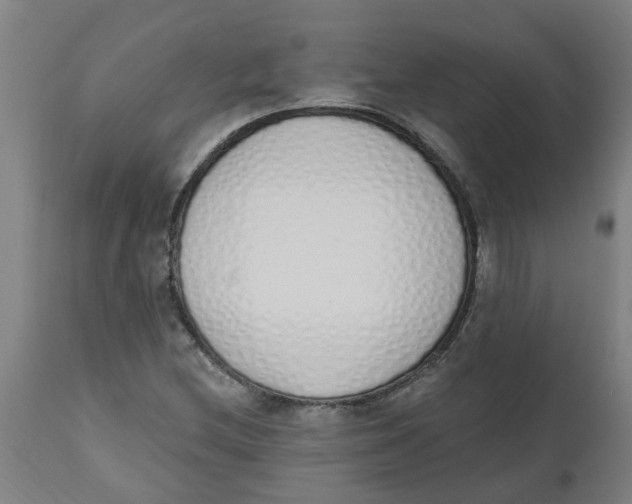 X0000112501212200909071237