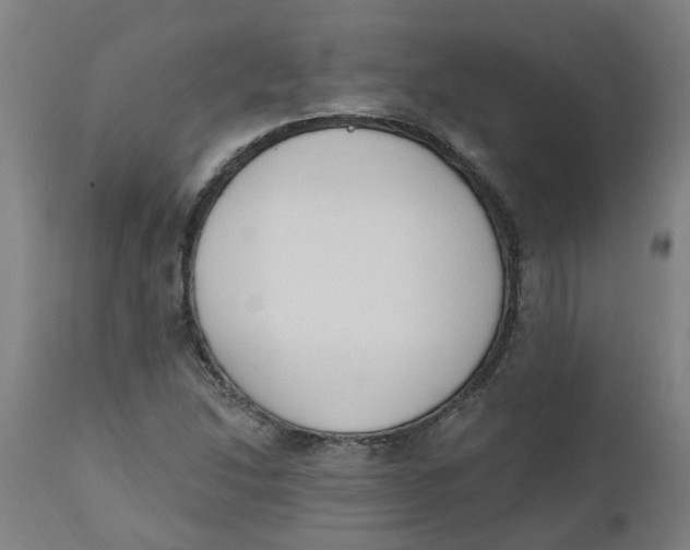 X0000112501214200909071237