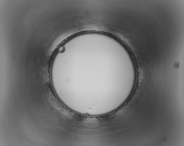 X0000112501215200909071237