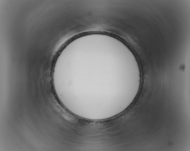 X0000112501216200909071237