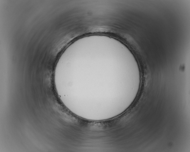 X0000112501217200909071237