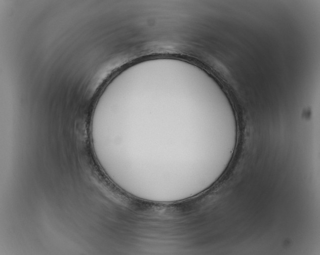 X0000112501218200909071237