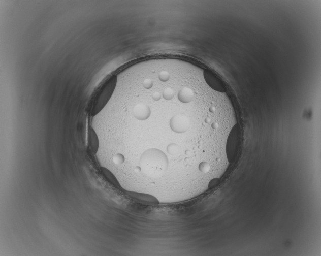 X0000112501219200909071237