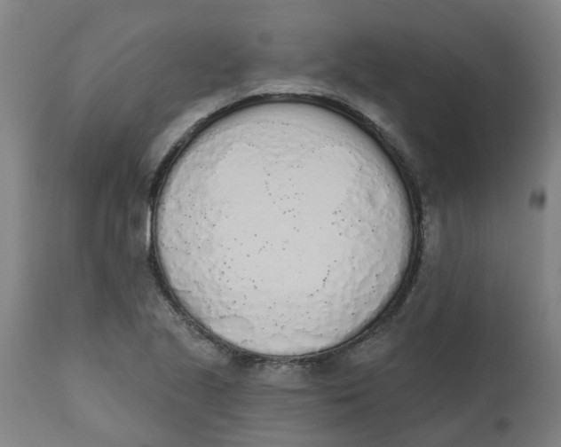 X0000112501221200909071237