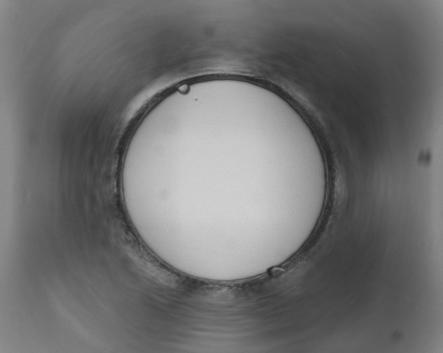 X0000112501222200909071237