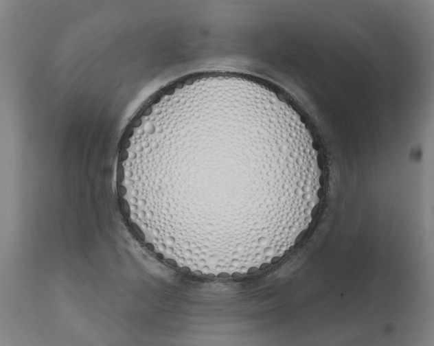 X0000112501224200909071237