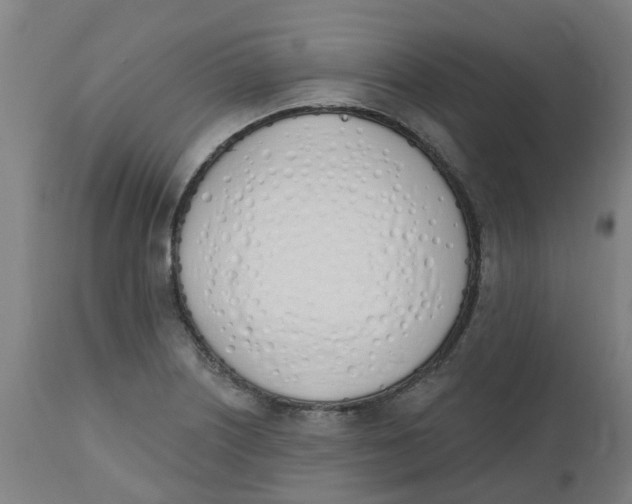 X0000112501226200909071237