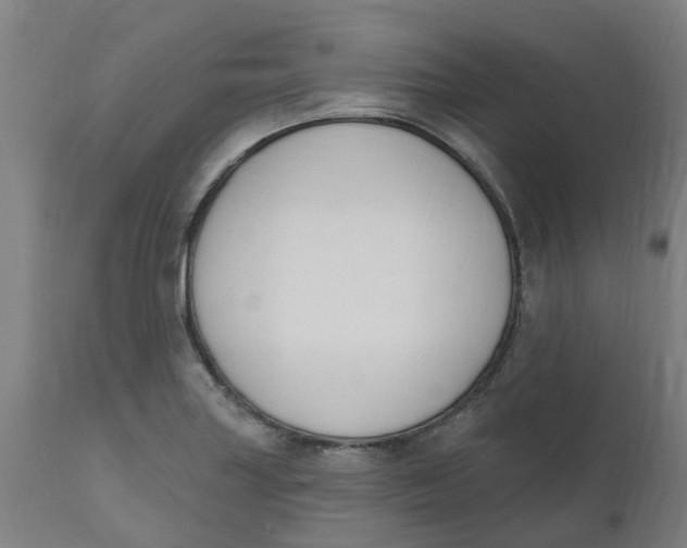 X0000112501227200909071237