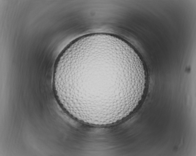 X0000112501228200909071237