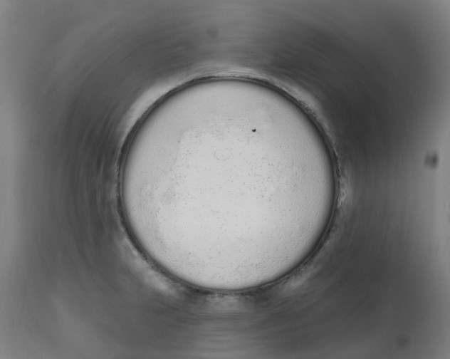 X0000112501231200909071237