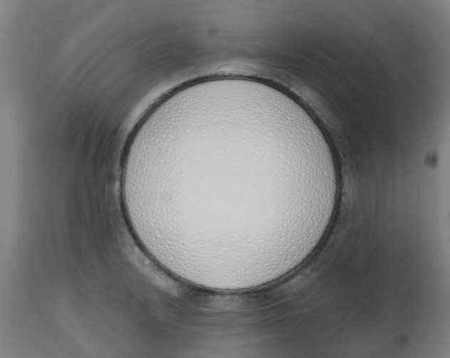 X0000112501232200909071237