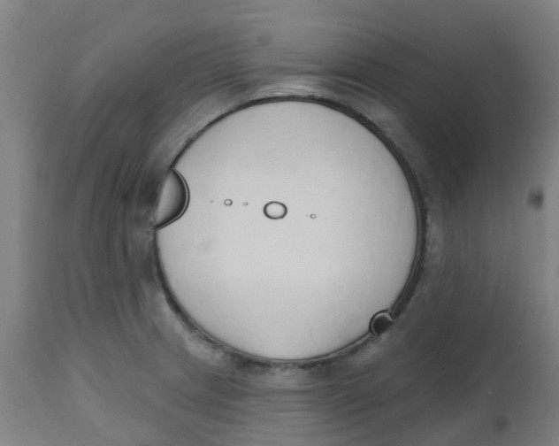 X0000112501233200909071237