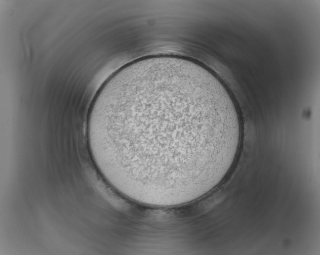 X0000112501234200909071237