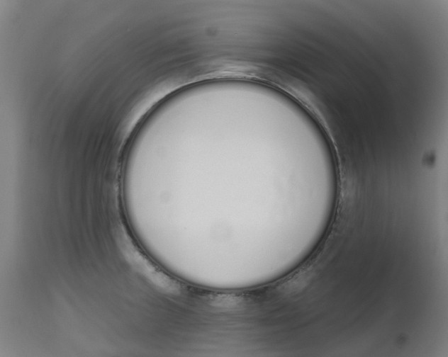 X0000112501235200909071237