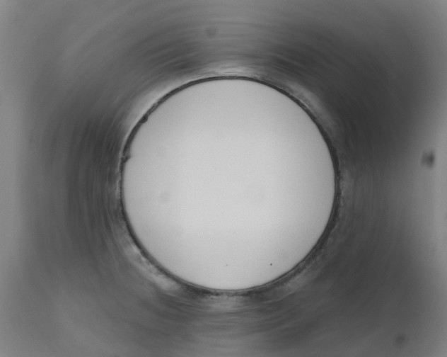 X0000112501236200909071237