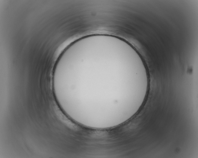 X0000112501238200909071237