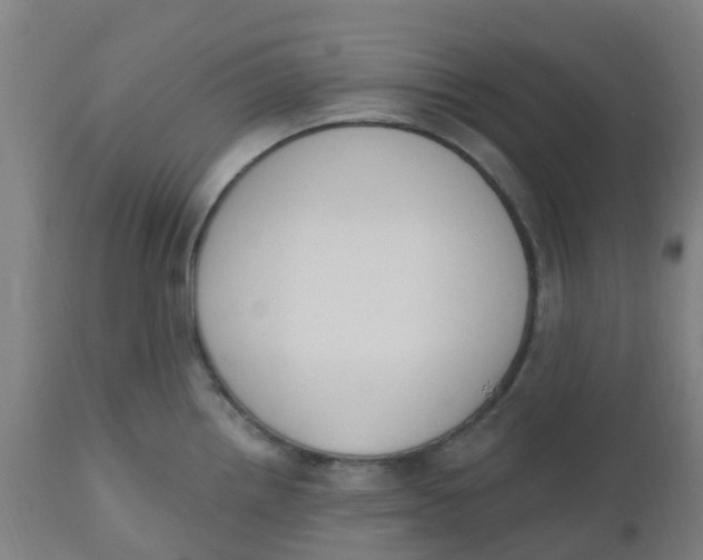 X0000112501242200909071237