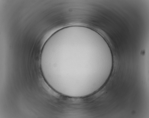 X0000112501244200909071237