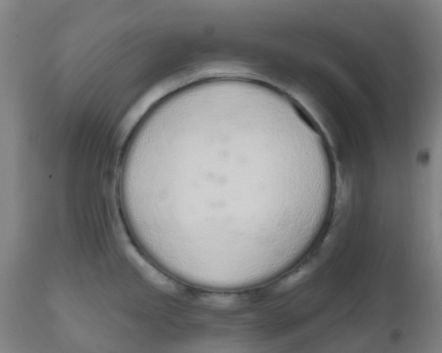 X0000112501245200909071237