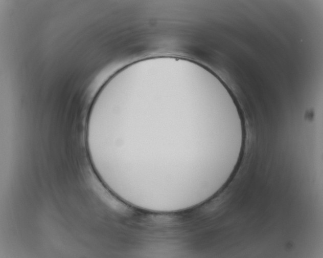 X0000112501246200909071237