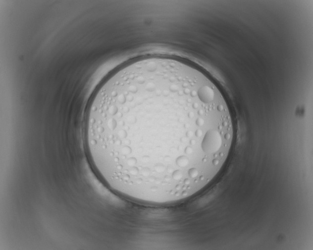 X0000112501247200909071237