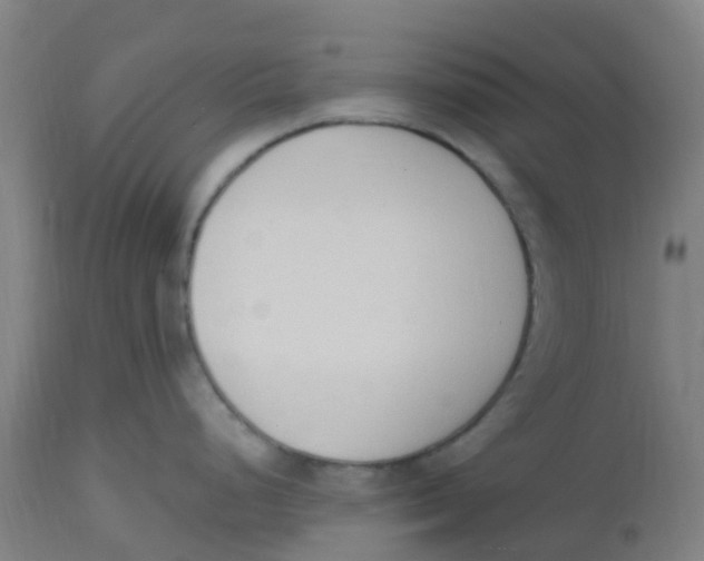 X0000112501248200909071237