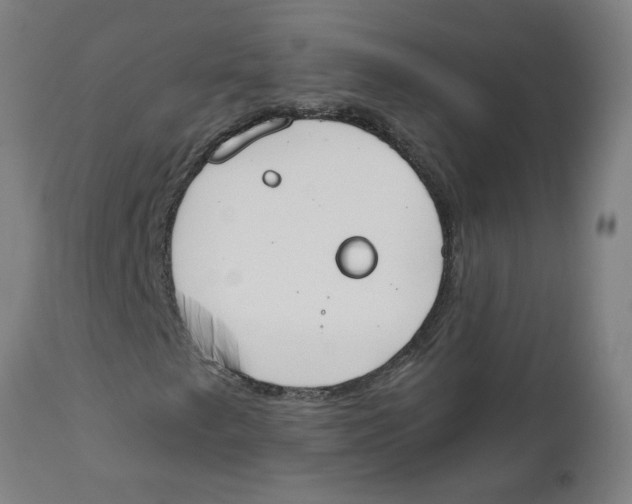 X0000112501249200909071237