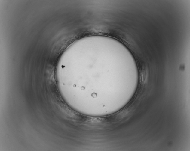 X0000112501251200909071237