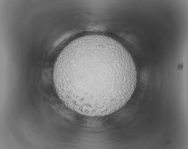 X0000112501254200909071237