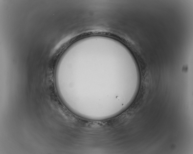 X0000112501255200909071237