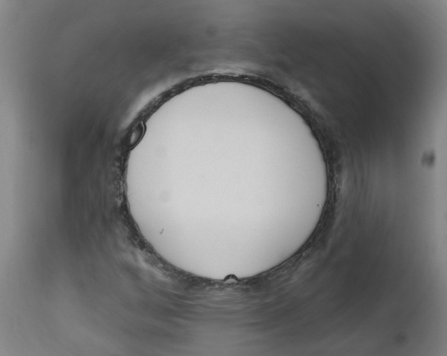 X0000112501256200909071237