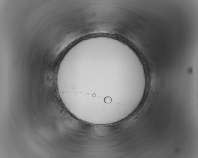 X0000112501258200909071237