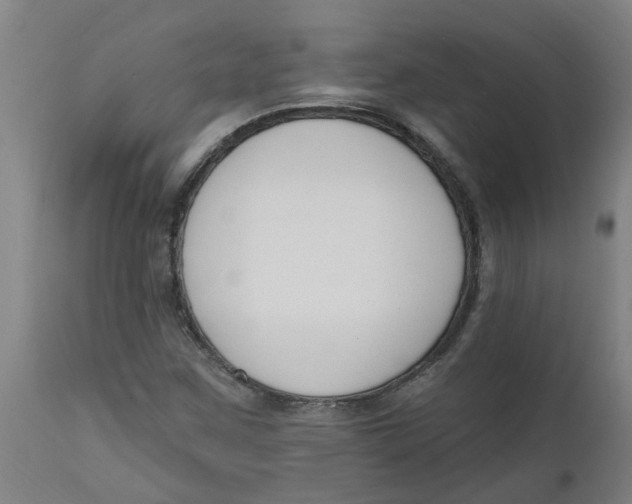 X0000112501259200909071236